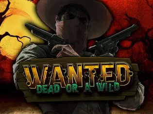 Wanted Dead or a Wild game icon
